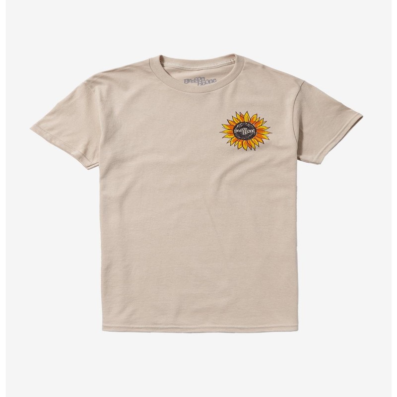 Stylish Lake Street Dive Merchandise for Music Enthusiasts